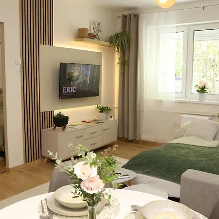 B13 Boutique Apartment Szegedin